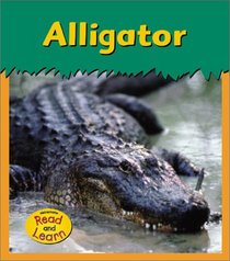 Alligator (Zoo Animals)