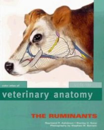 Color Atlas of Veterinary Anatomy: The Ruminants