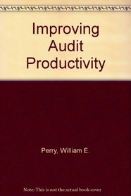 Improving Audit Productivity