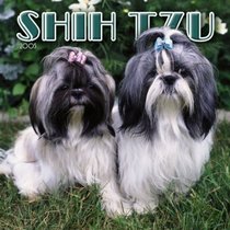 Shih Tzu 2005 Wall Calendar