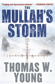 The Mullah's Storm (Michael Parson, Bk 1)
