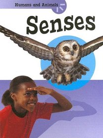 Senses (Humans and Animals)