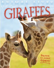Giraffes (Animal Lives)
