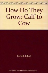 Calf to Cow (How Do They Grow?)