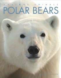 Amazing Animals: Polar Bears
