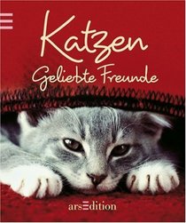 Katzen