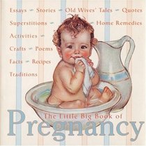 The Little Big Book Of Pregnancy (Little Big Book (New York, N.Y.), 12.)
