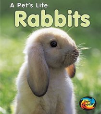 Rabbits