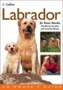 Labrador (Collins Dog Owner's Guide)