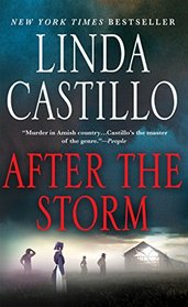 After the Storm (Kate Burkholder, Bk 7)
