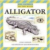 Alligator (Zoo Animals in the Wild)