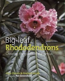 Big Leaf Rhododendrons: Growing the Giants of the Genus