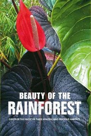 Beauty of the Rainforest: Discover the Magic of These Amazing and Precious Habitats