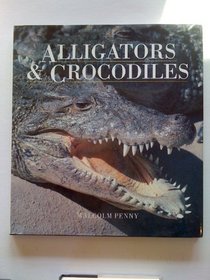 Alligators & Crocodiles