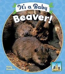 It's a Baby Beaver! (Baby Mammals)