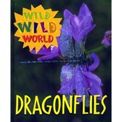 Wild Wild World - Dragonflies (Wild Wild World)