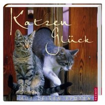 Katzengl?ck auf leisen Pfoten