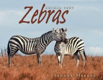 Zebras (Animal Prey)