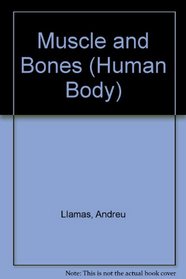 Muscles and Bones (Human Body)