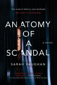 Anatomy of a Scandal (Large Print)