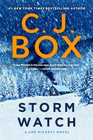 Storm Watch (Joe Pickett, Bk 23)