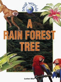 A Rain Forest Tree (Small Worlds)