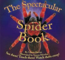 The Spectacular Spider Book (Beautiful Bugs) (Beautiful Bugs)