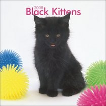 Black Kittens 2008 Mini Wall Calendar
