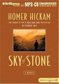Sky of Stone : A Memoir
