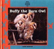 Buffy the Barn Owl (Baby Animals Growing Up)