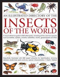 An Illustrated Directory of the Insects of the World: A visual reference guide to 650 arthropods, including all the common insect species such as ... illustrated with 680 expert artworks