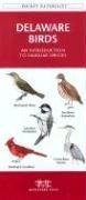 Delaware Birds: An Introduction to Familiar Species (Pocket Naturalist - Waterford Press)