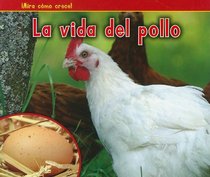 La vida del pollo (The Life of a Chicken) (Mira Como Crece) (Spanish Edition)