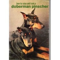 How to Raise  Train a Doberman Pinscher