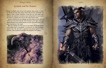 The Elder Scrolls Online - Volumes I & II: The Land & The Lore (Box Set)