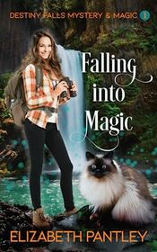 Falling into Magic (Destiny Falls Mystery & Magic, Bk 1)