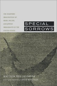 Special Sorrows: The Diasporic Imagination of Irish, Polish, and Jewish Immigrants in the United States