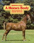 A Horse's Body