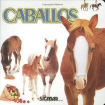 CABALLOS (Caricias / Caresses)