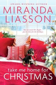 Take Me Home for Christmas (Amazing Doctors of Oak Bluff, Bk 1)