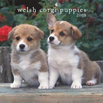 Welsh Corgi Puppies 2008 Mini Wall Calendar (German, French, Spanish and English Edition)