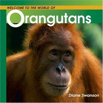 Welcome to the World of Orangutans (Welcome to the World Series)