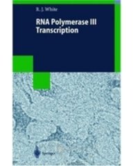 Rna Polymerase III Transcription