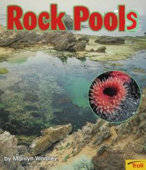 Rock Pools (Momentum Literacy Program, Step 2 Level D)