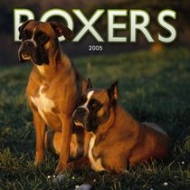 Boxers 2005 Wall Calendar