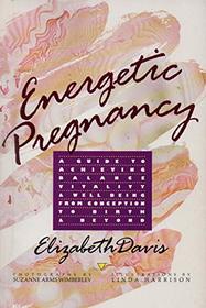 Energetic Pregnancy: A Guide to Achieving Balance, Vitality, & Wellbeing from Conception to Birth & Beyond