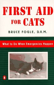 First Aid for Cats: What to do When Emergencies Happen