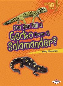 Can You Tell a Gecko from a Salamander? (Lightning Bolt Books: Animal Look-Alikes)