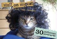 Stuff On My Cat: The Postcard Box: 30 Postcards
