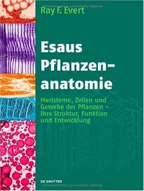 Esaus Pflanzenanatomie/ Plant Anatomy: Meristeme, Zellen Und Gewebe Der Planzen- Ihre Struktur, Funktion Und Entwicklung (German Edition)